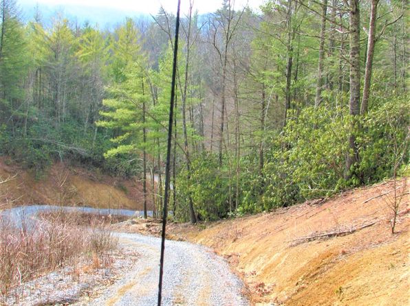 156 Rock Quarry Rd, Roan Mountain, TN 37687