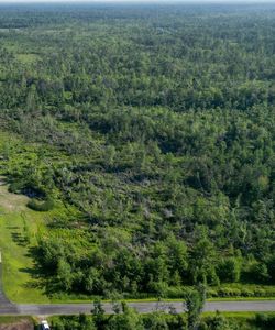 30Acres Driftwood Avenue, Warrens, WI, 54666