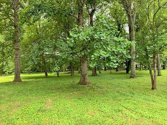 5th image of 446 Harpeth Meadows Dr