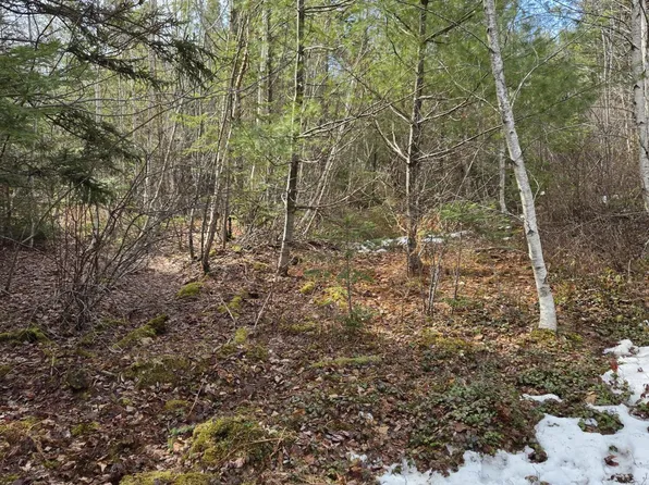 0 Northfield Road, Marshfield, ME 04652