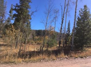 22504 Cheyenne Trl, Oak Creek, CO 80467