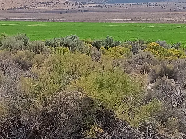 Old Lake Rd, Christmas Valley, OR 97641