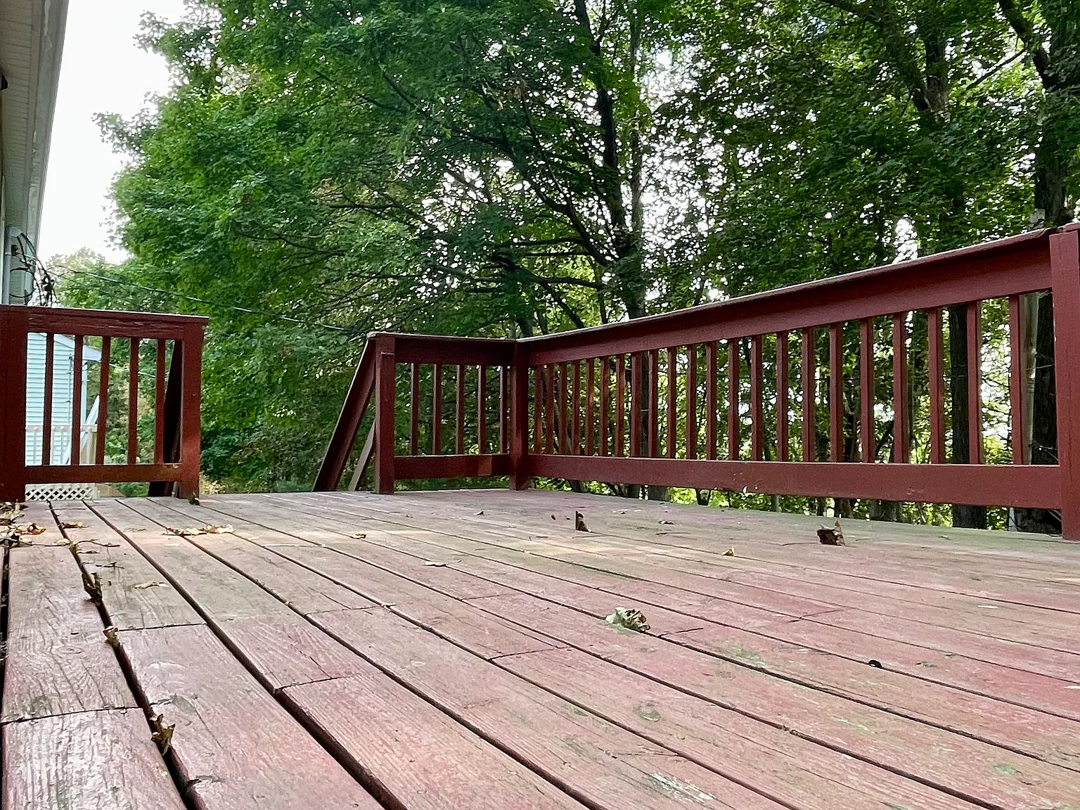 3 bed, 1.5 bath, $2,950 — Photo 2