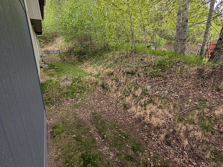 12253 Vista Ridge Loop — Photo 16