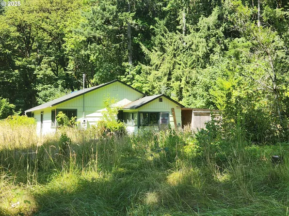 16807 Highway 36, Deadwood, OR 97430