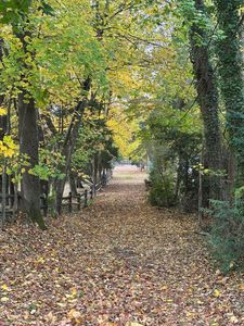 39 Noroton Avenue, Darien, CT, 06820