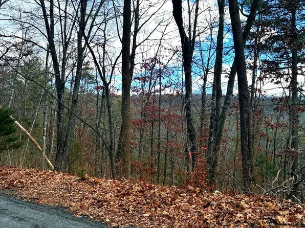 Spitz Ln, Basye, VA 22810