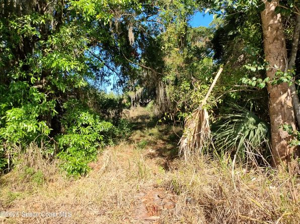 2656 Orange Ave, Mims, FL 32754