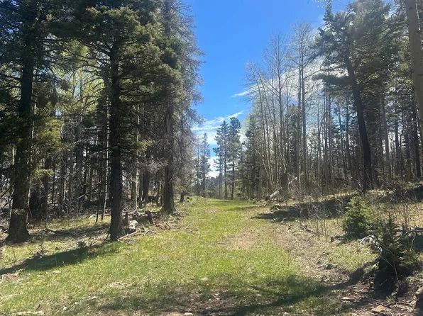 LOT 86 Elk Horn Dr, Angel Fire, NM 87710
