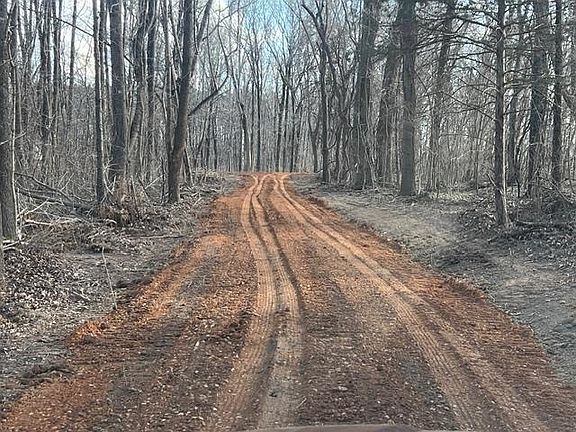 3rd image of LOT 1 Brammer Rd