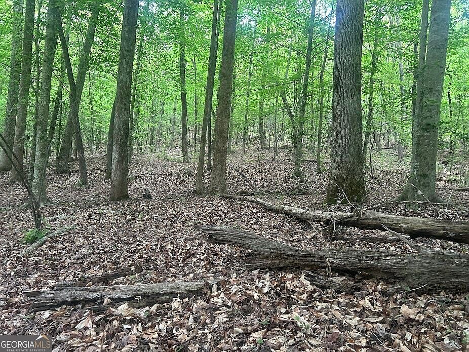 1st image of 236 Riversong Tract 8