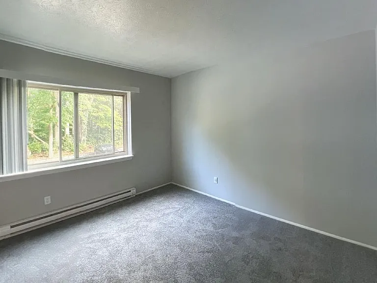 Spacious carpeted bedroom