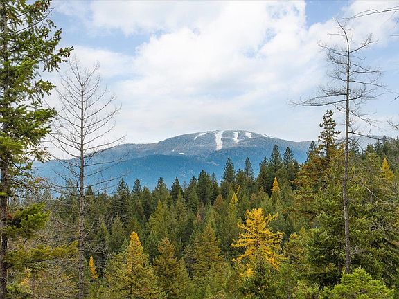 5th image of 36022 N Milan Elk Rd