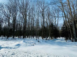 1165 Coaster Rd, Trenary, MI 49891