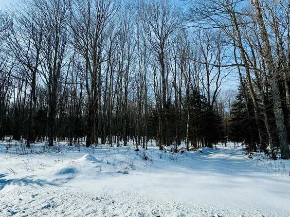 1165 Coaster Rd, Trenary, MI 49891