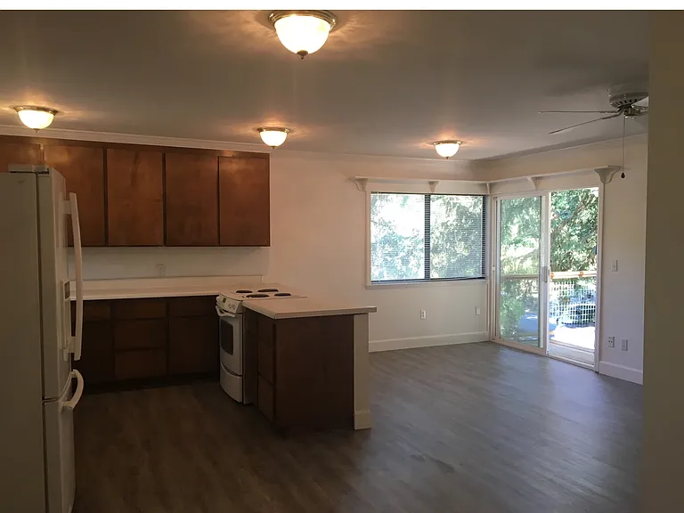 3301 Aspara Dr — Photo 12