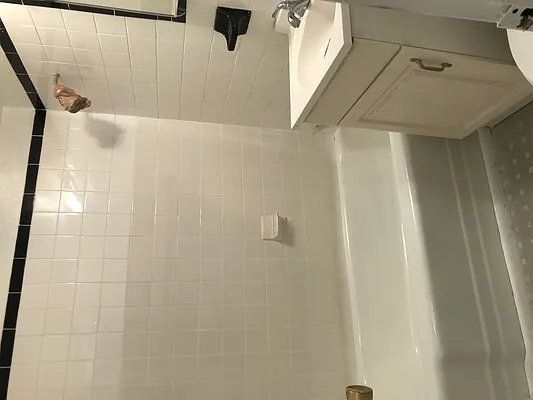 Rented by Michael Apfelbaum, LREB | media 15