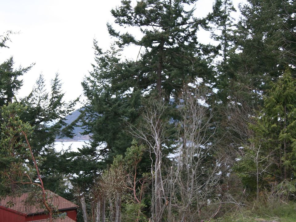 Shy 1/3 Acre Lot Located Just Outside The Pointe