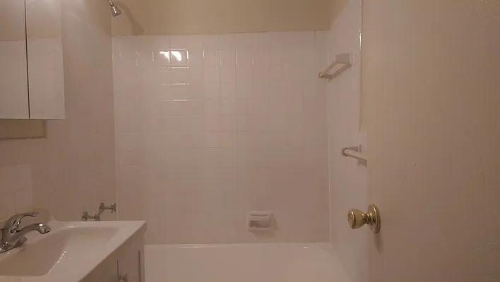 Rented by Manhattan Apartment Organization | media 17