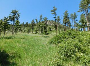 8276 Yuma Cir, Larkspur, CO 80118