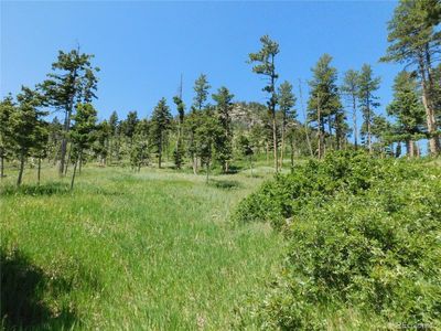 8276 Yuma Circle, Larkspur, CO, 80118