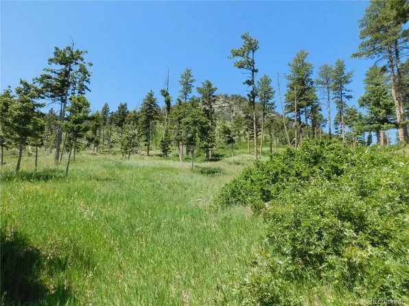 8276 Yuma Circle, Larkspur, CO 80118