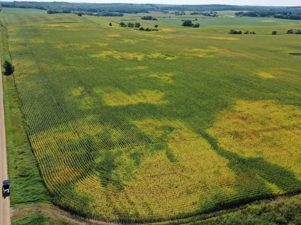 Tbdx 190th St, Battle Lake, MN 56515