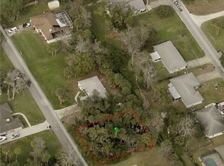 Mango Tree Dr, Edgewater, FL 32141