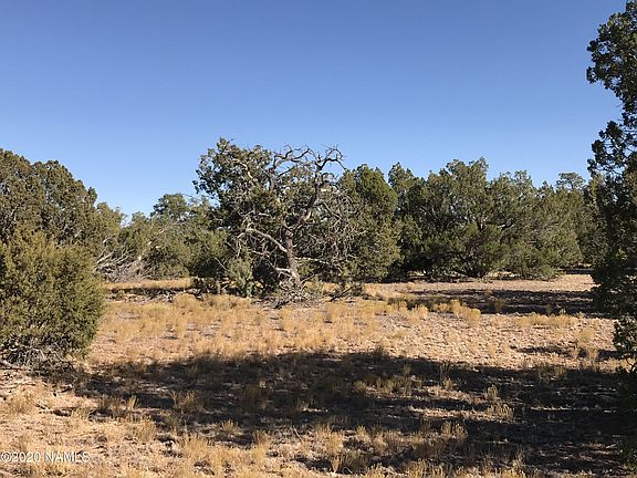 3rd image of 9408 S Rim Ranch Rd
