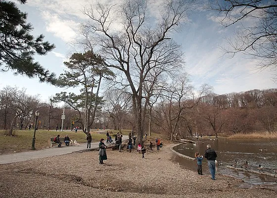 Sold by Block & Lot Real Estate | media 9