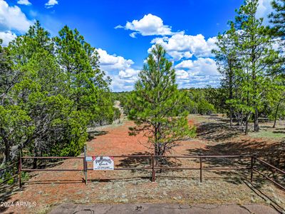 2255 bootlegger   Parcel #2 -- #2, Overgaard, AZ, 85933