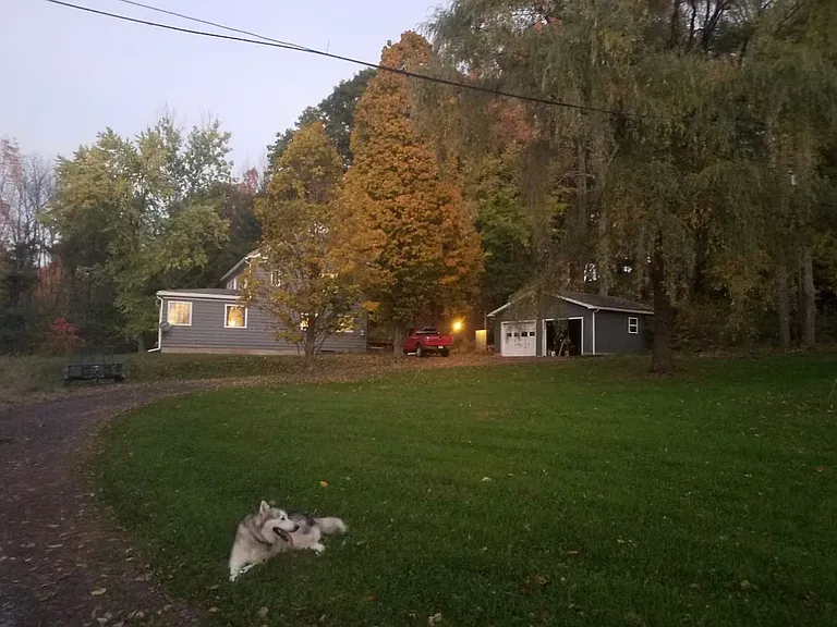 Vandyke Rd — Photo 12