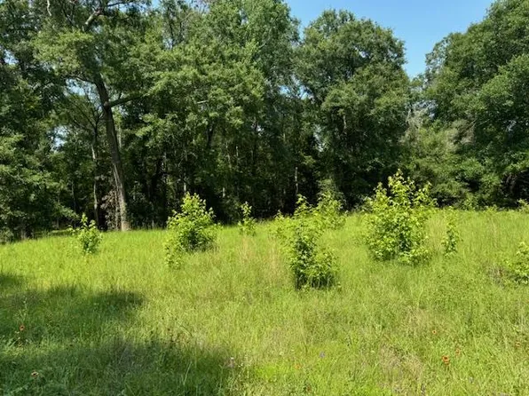 LOT 78 Hunterwood Dr, Jasper, TX 75951