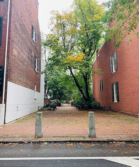 323 Pine St #1F — Photo 32