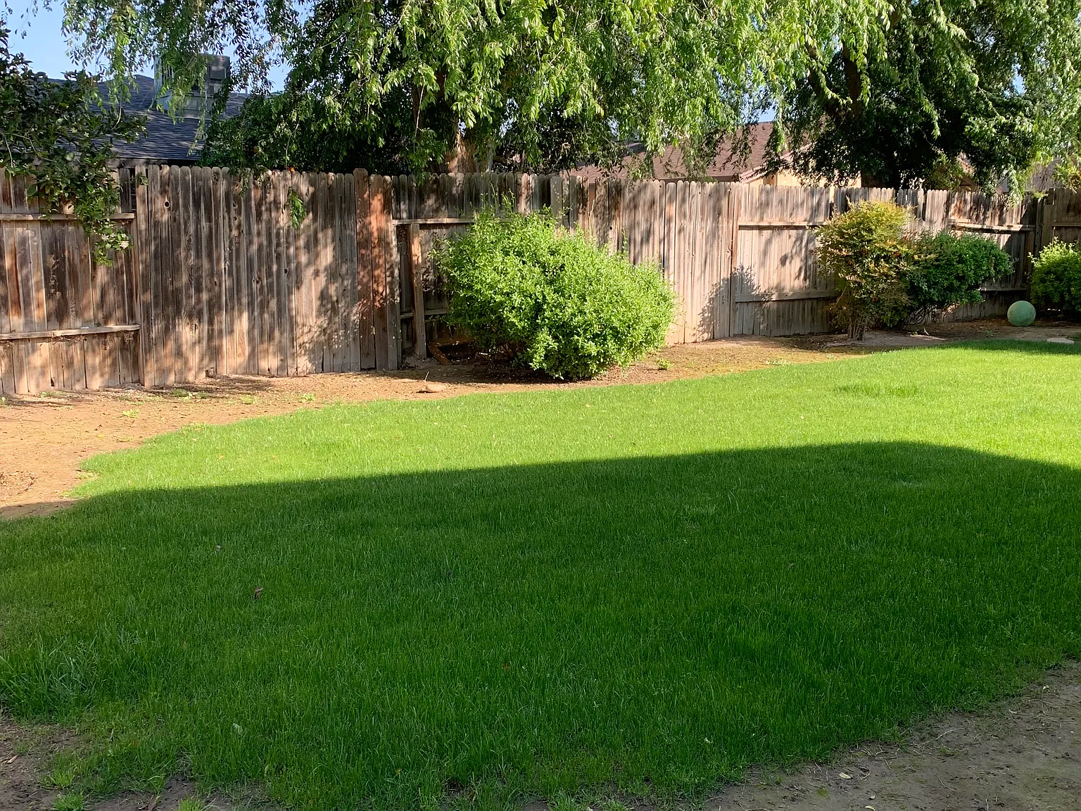 3 bed, 1426 sqft, $2,300 — Photo 4