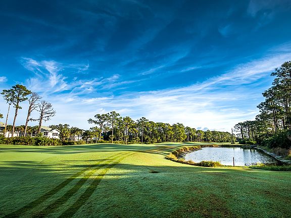 3rd image of 13775 Palmetto Point Court Reservation Spgs #1
