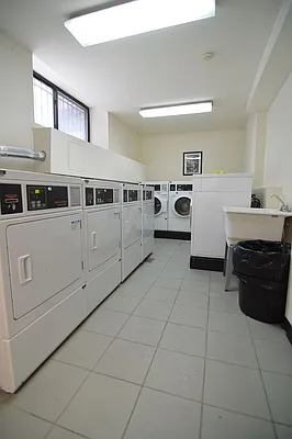 Rented by Bold New York | media 38