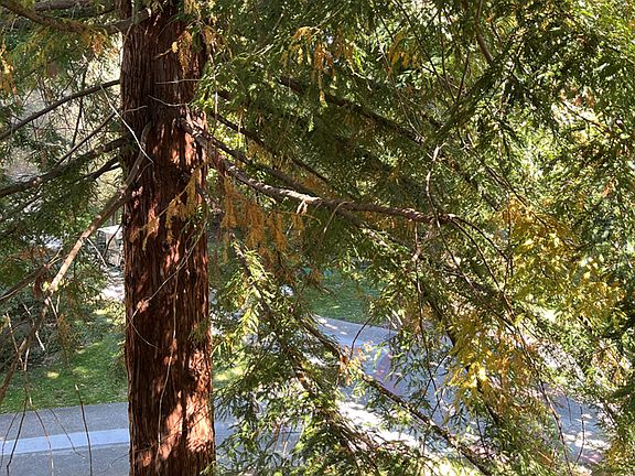 5th image of 6309 Shelter Creek Ln