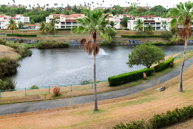 View from the balcony