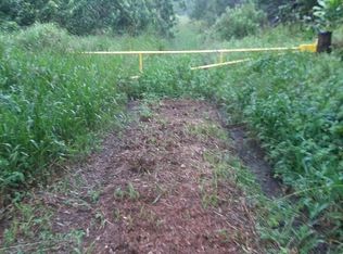 LOT 4 Lot 4, Naalehu, HI 96772