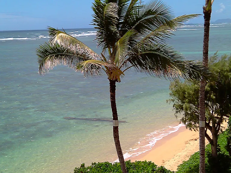 53-549 Kamehameha Hwy #608 — Photo 3