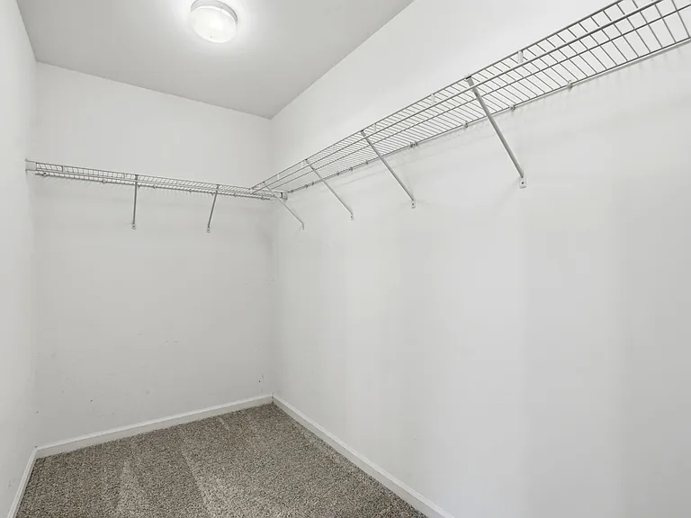 1906 Treefrog Ct — Photo 24