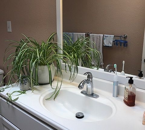 2nd image of 685 Palomino Dr #B