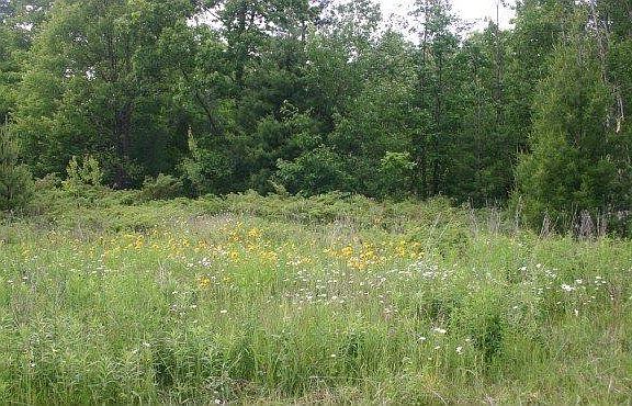 5th image of Lundberg Wood Lane #6