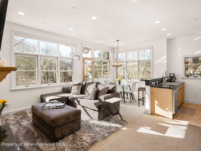 455 Gold Rivers Ct #525, Basalt, CO, 81621