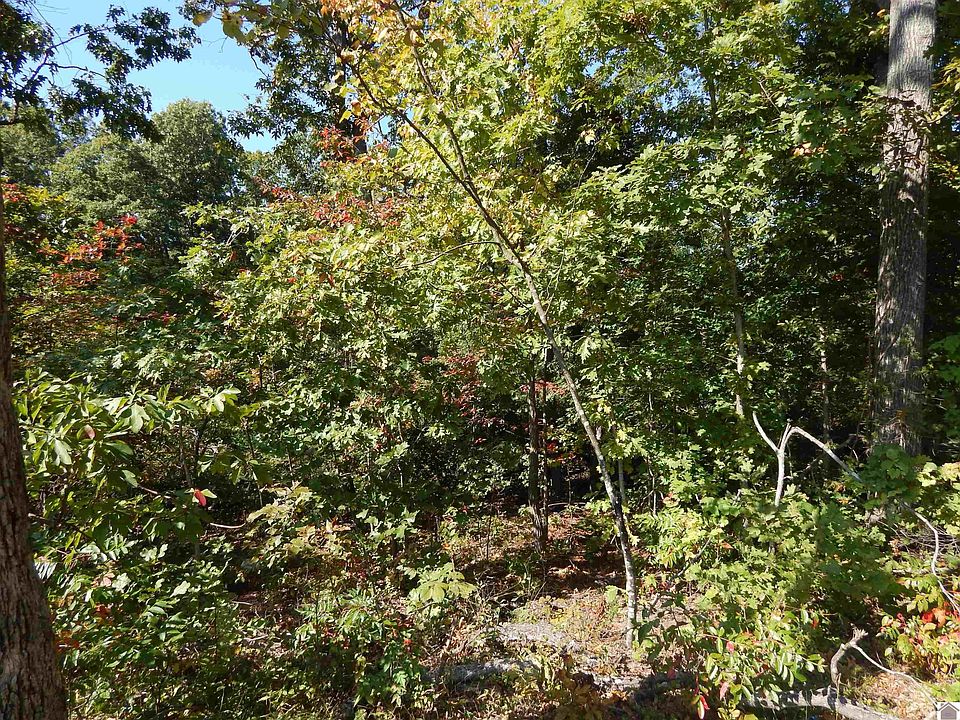 1st image of LOT 39 Wallace Cemetery Ln