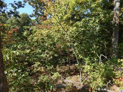 LOT 39 Wallace Cemetery Ln, Gilbertsville, KY, 42044
