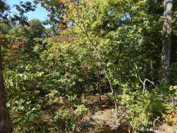 LOT 39 Wallace Cemetery Ln, Gilbertsville, KY 42044