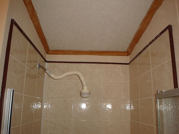 Shower Master Bath