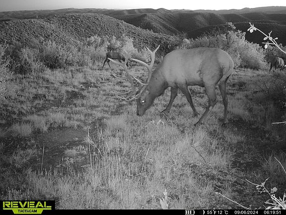 3rd image of County Road 249